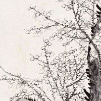 医美公司名字100个 精选医美公司取名大全