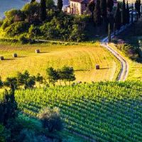 耿安年的生活是什么？