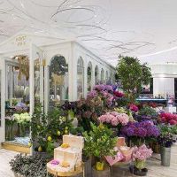 开个花店如何起名