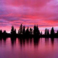 2018年的五排狗是什么？