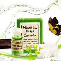 淘宝网化妆品店名个性好听名大全