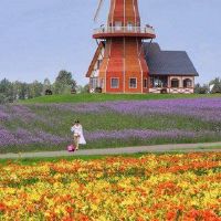 Zuchen的人的八个字符命运如何?