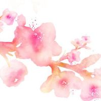 属虎本命年应该注意什么 生肖虎低调行事促成功