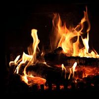 2021年农历新年26个出生的女孩五行Firefire有内涵名称