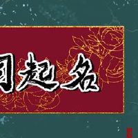 香港公司名称是什么?