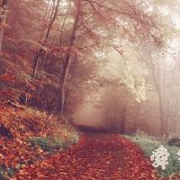 旅游公司名字大全