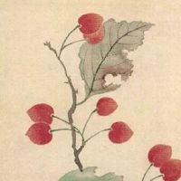 清明节上坟时间有什么讲究和忌讳 清明新坟要提早上吗
