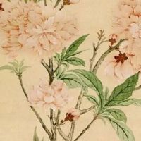 清明节新坟什么时候去 清明节新坟扫墓时间有什么讲究