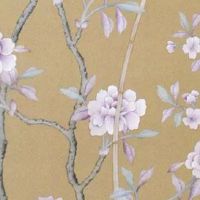 能娶富贵之妻的面相 眼细而长眼大有神
