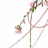 能嫁贵夫的女人面相 鼻子适中圆润能嫁有福之人