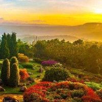 获得城市墙名称的最佳方式是如何