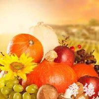 水果蔬菜店名字大全