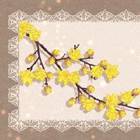 用数字借用数字的美发店的名称是什么?