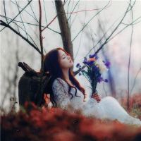 如何让你遇见我，在最美丽的时刻在12星