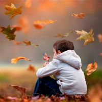 四个星座,可以适应环境变化,谨慎且可靠