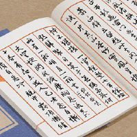 公司名称的名称是多少?