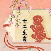 第一个财富是在2022年的猴子君主算子分析