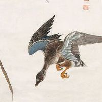 98年属虎女的爱情运势 桃花运旺找属蛇的好