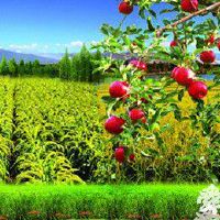 给农资公司取一个好听的名字