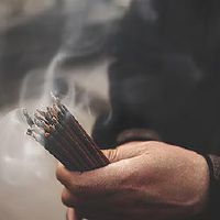 什么是观音子?吃木那子的好处是什么?