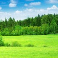 沉默中的星座女性是什么?