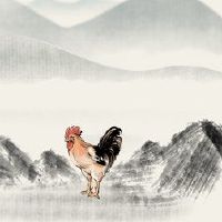这是2022年喜欢彩色和标记的鸡肉。