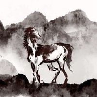 8月2023年8月,马的财富在8月份很好。
