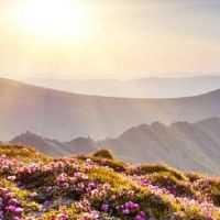 Proprin Day的人类八个字符如何?