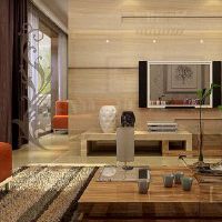 人们怎么能让富国士水布局?