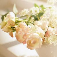 十二个星座最令人兴奋的伎俩是什么?你遇到过吗?