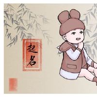 刘伟的名字100分100分男孩野心远男孩名字