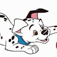 1982年，狗的生活2022财年40岁的小狗女2022月