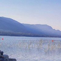 男人的生活有着美好的生活,它很好。