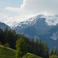 女性日专栏将成功地看到丈夫的成功。