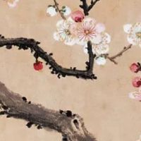 2022年4月2日出生属虎男孩是什么命 事业有成 大富大贵