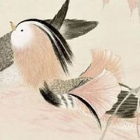车牌尾号为0的怎么样 尾数0提升车主运势