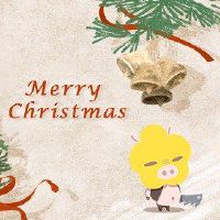 2023年,猪人是一个好运。