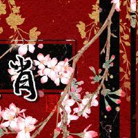 2022年，在列表中开放了四个主要的黄道带。