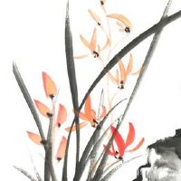 1986几月出生的虎最苦命 六月女虎遇到贵人能转运