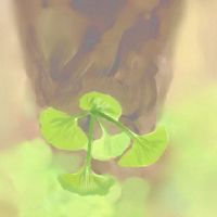 12黄道带如何面对自己的亲戚（图表）