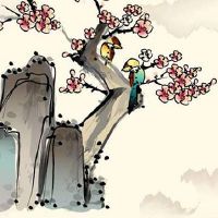 2022年4月16日出生属虎女孩五行缺什么,是什么命 富有财气 命运上佳