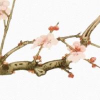 免费养殖业家庭农场取名 最新2022家庭农场好名推荐