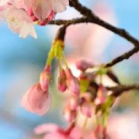 个人养殖取名2022最新版 顺口吉利的养殖取名推荐