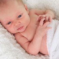 宝宝起名最新版下载