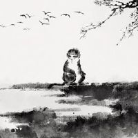 十二生肖老虎和十二生肖猴子在一起吗?互相吸引