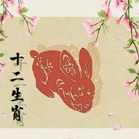 1999年,一只兔子婚姻是兔子女性婚姻状况