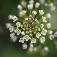 做事要拖着星座,而不是最后一刻,永远不会