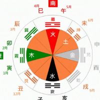 辛巳时出生的人命运