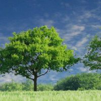 上帝保护的特点是什么?