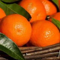 天使的外观,魔鬼的心脏,这三个大型古代的是最令人尴尬的,买不起